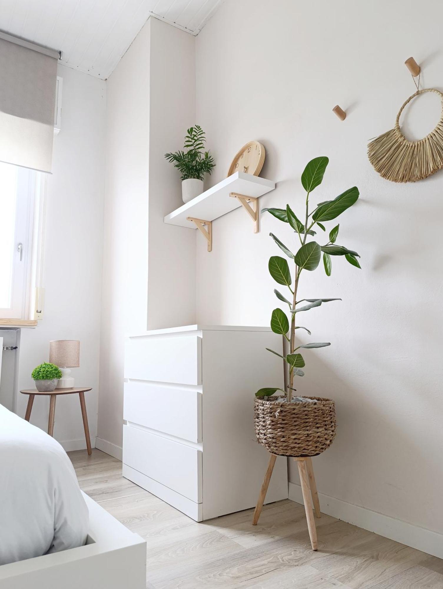 Kasakiwi Apartment Vicenza Esterno foto